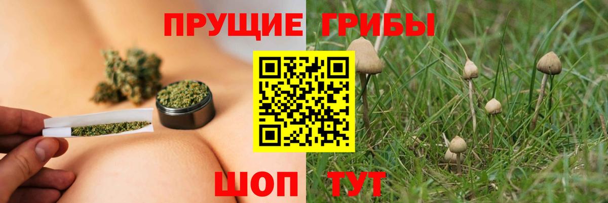 Галлюциногенные грибы Psilocybine cubensis Феодосия