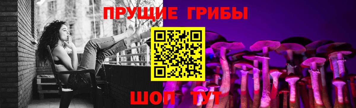 купить закладку  Вход с VPN  Феодосия  Галлюциногенные грибы GOLDEN TEACHER 