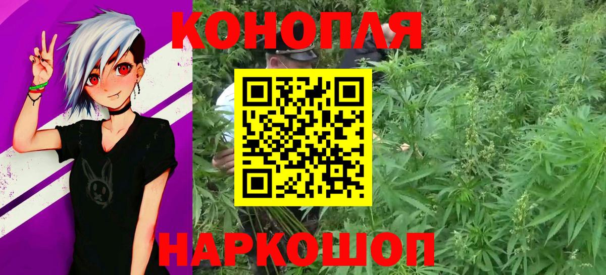 Бошки марихуана планчик  Каннабис семена  Бошки марихуана сатива  Вход с VPN  Конопля OG Kush  Феодосия 